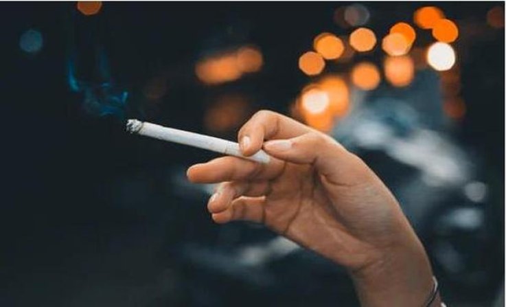 深入解析！黄鹤楼硬满天星批发渠道订货指南及操作手册