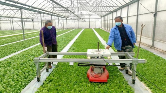 万宝路樱花双爆珠韩版价格表图一览表 万宝路樱花双爆珠韩版多少钱一包？
