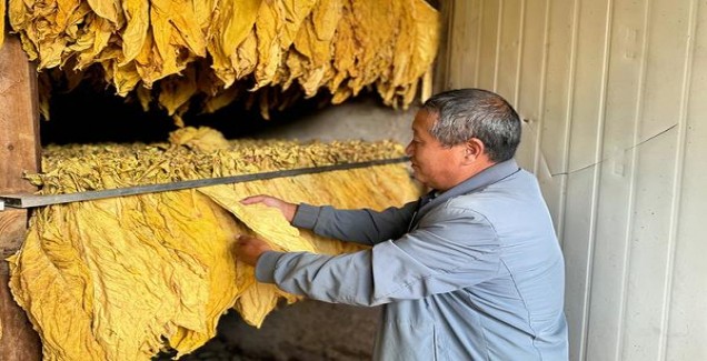 揭秘！建牌HD1香烟的市场价格解析