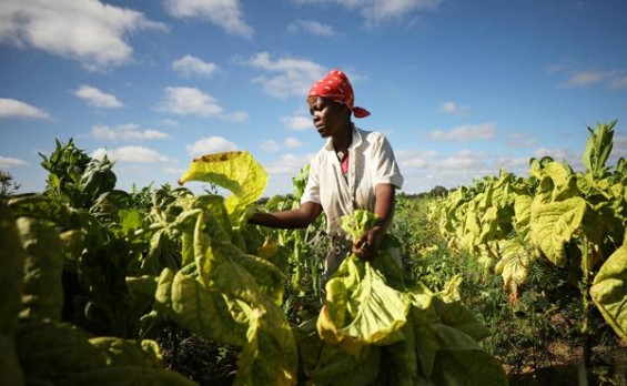 双喜万象好日子价格表图一览表 双喜万象好日子什么价格？