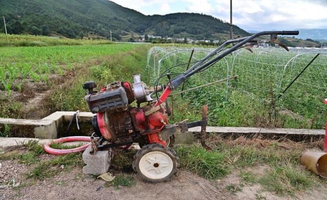 PS(硬黑捷克含税版)厂家直销，PS(硬黑捷克含税版)什么价格？