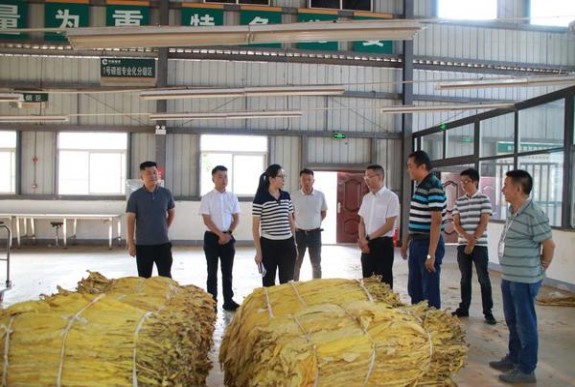 热点讨论！国内雪茄购买正规网站“目不暇接”