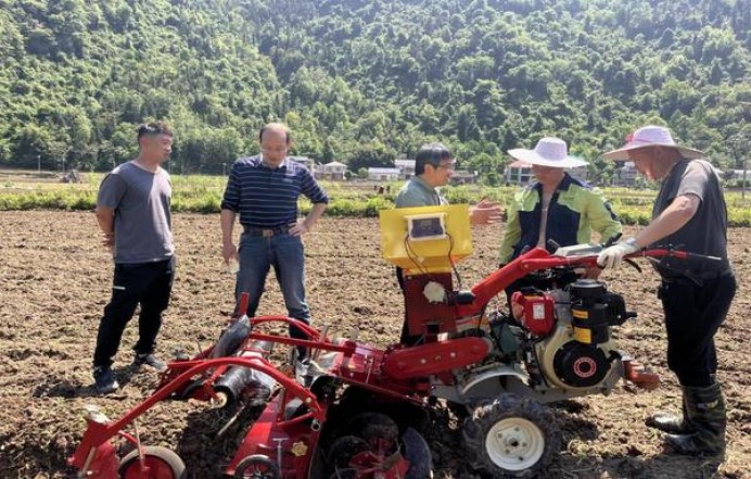 钻石天下第一关批发价格是多少？钻石天下第一关多少钱一包？