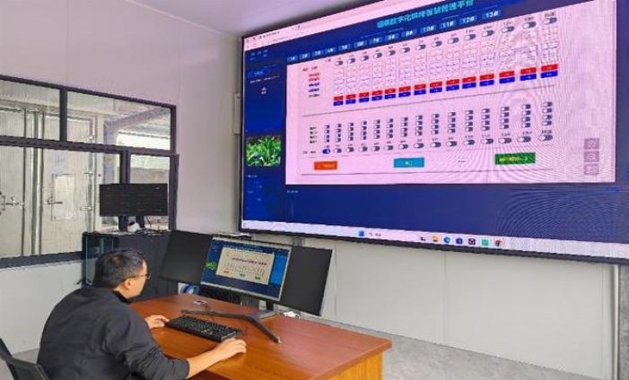 泰山(易捷之义)一手厂家，泰山(易捷之义)价格查询