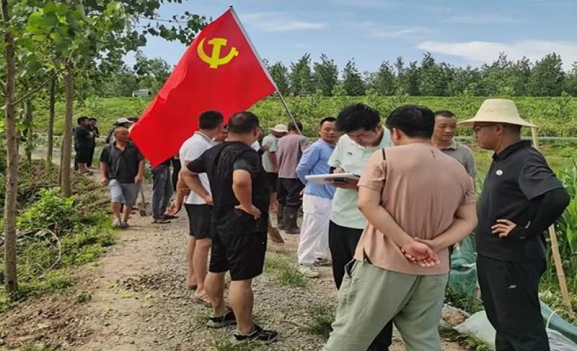 兰州飞天价格表和图片兰州飞天价格表和图片