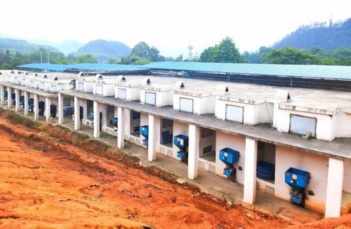 热点讨论！peel柚子茶双爆“修心养性”