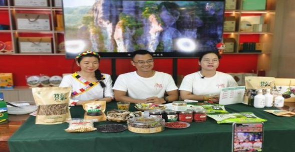 深入解析！七匹狼通泰云霄烟批发真相