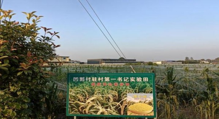 内幕！网购哪里买烟正品“抛砖引玉”