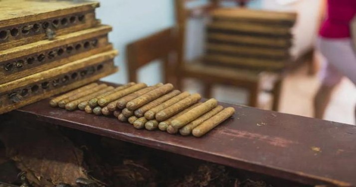 深入解析！云烟时光码头烟民真实体验,一手货源深度剖析