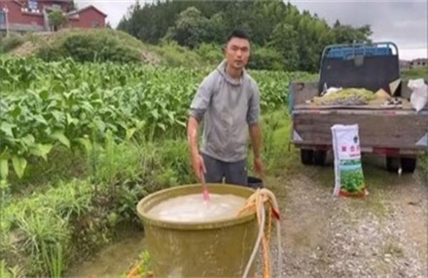 探索！大青山红云霄烟批发渠道的详细解析