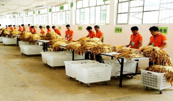 终于发现！免税香烟一手渠道批发“财源广进”