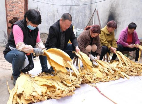 精选！三沙金云霄烟的进货秘密