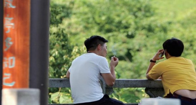 精选！双喜硬金樽好日子香烟的低价批发指南