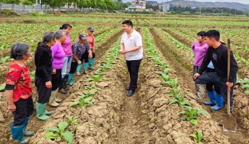 骆驼爆珠美国免税版批发价格是多少？骆驼爆珠美国免税版价格表图一览表 