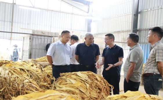 揭秘！利群环球阳光批发渠道订货指南及操作手册