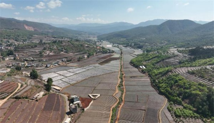 天下秀(红)多少钱一盒？天下秀(红)参数详解 