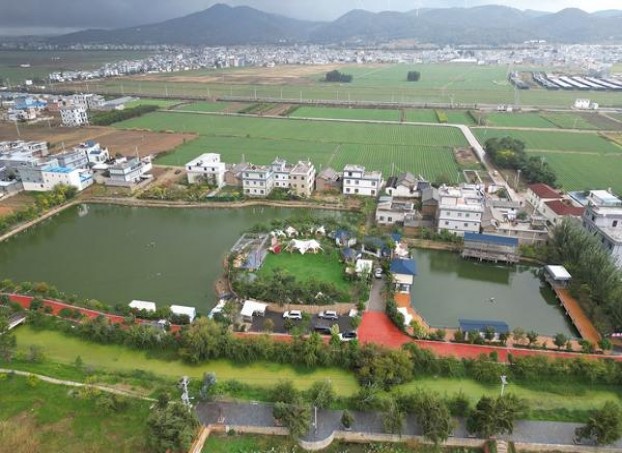 中南海金8mg批发价格是多少？中南海金8mg什么价格？