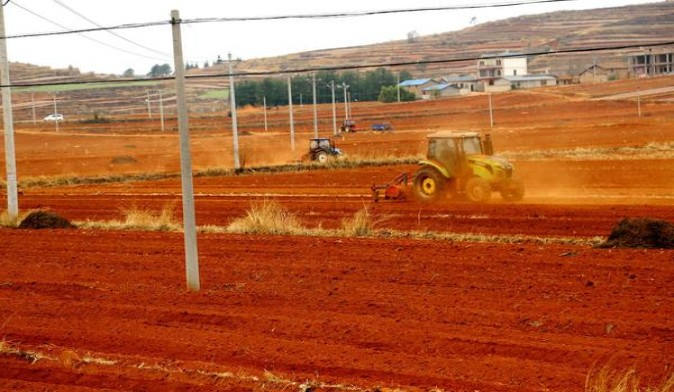 黄鹤楼(软蓝出口欧盟版)批发价格，黄鹤楼(软蓝出口欧盟版)香烟价格表2024