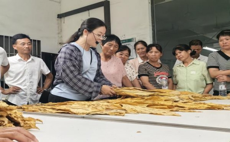 头条！进口烟批发集散地“虎头虎脑”