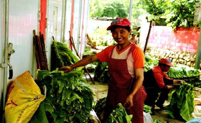 ESSE(薄荷 1mg)厂家，ESSE(薄荷 1mg)多少钱一包？