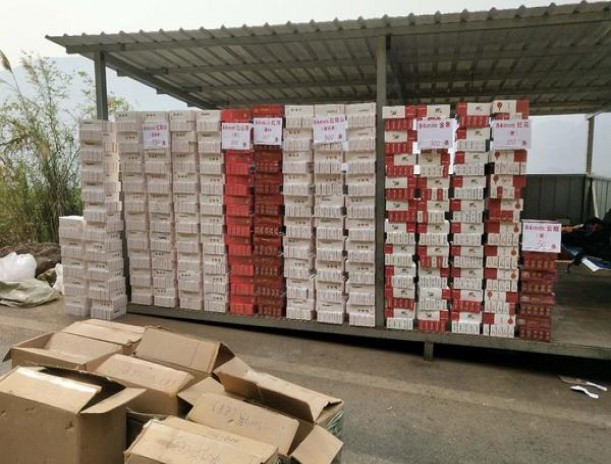 金桥(双爆)参数详解 金桥(双爆)价格查询 