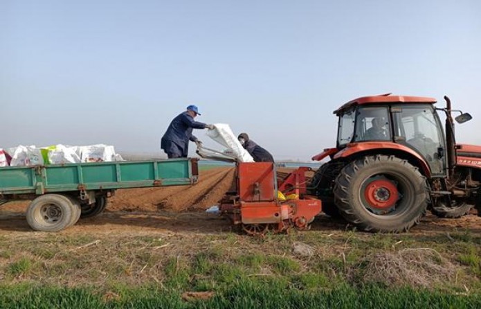 王冠(茶马古道)多少钱一盒？王冠(茶马古道)香烟价格 