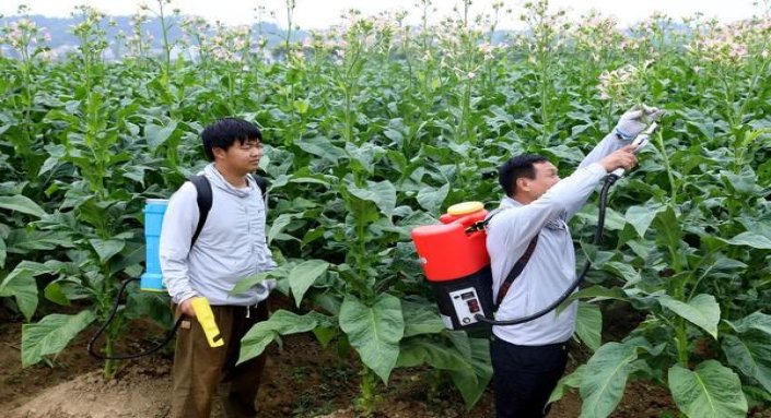 重大新闻！一手香烟货源正品批发“蛛丝马迹”