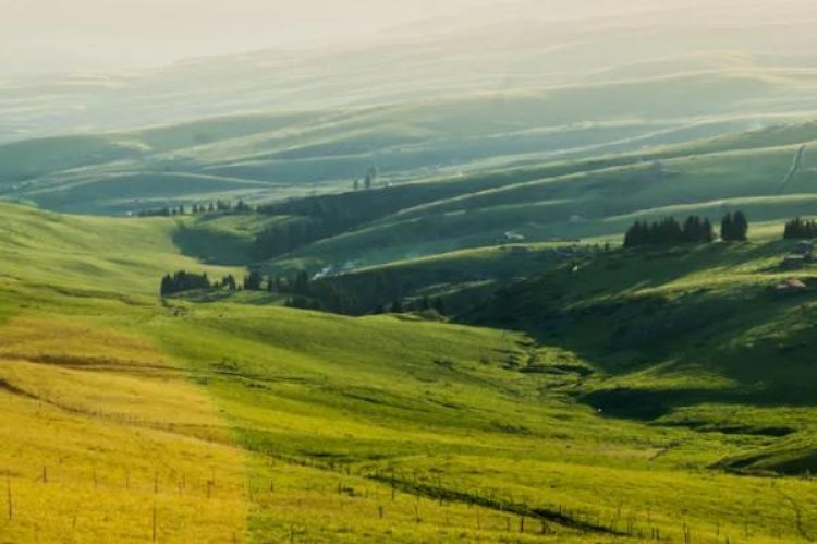 百乐门水晶爆珠8mg日版批发价格是多少？百乐门水晶爆珠8mg日版价格表和图片