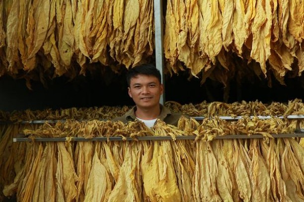 天下秀(金)图片及价格 天下秀(金)价格查询 