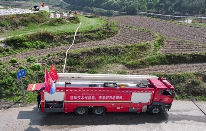 重点通报！求购云霄假烟“风驰电掣”