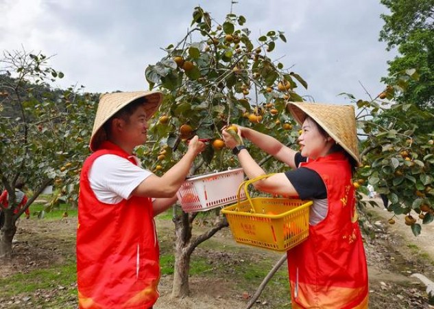 头条！烟商网站“目不暇接”