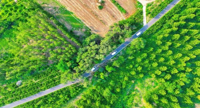 利群(山外山)批发，利群(山外山)价格表图一览表
