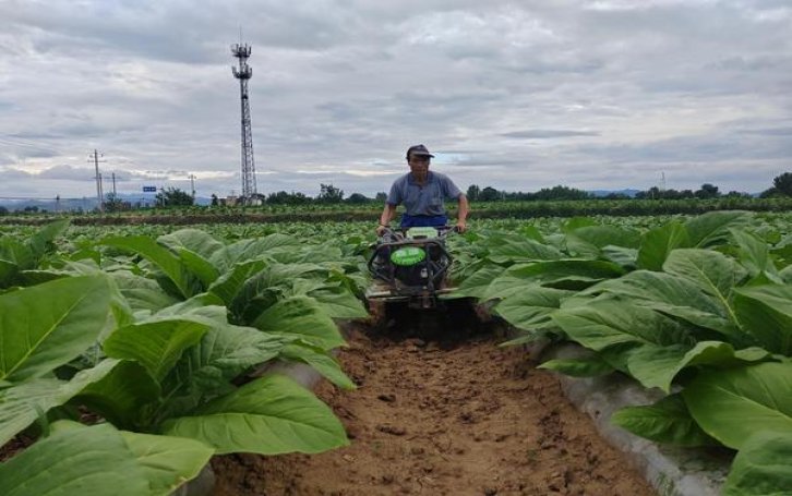 利群(休闲)厂家，利群(休闲)价格表和图片