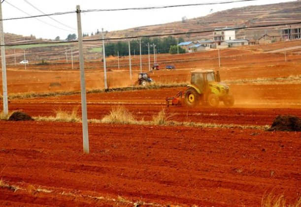 破天荒！2023最新香烟批发价格“促膝谈心”