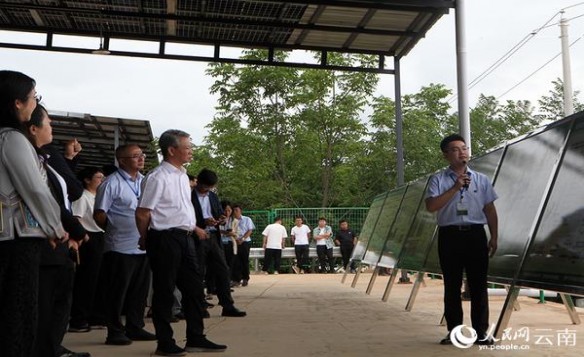 百乐柚子茶双爆珠价格查询 百乐柚子茶双爆珠香烟价格表2024 