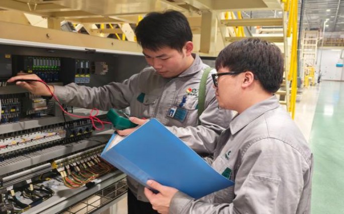 特富意(薄荷)价格表和图片 特富意(薄荷)价格表和图片 