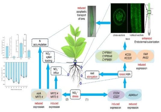 万宝路硬红2.0韩国免税版价格表图一览表 万宝路硬红2.0韩国免税版价格表和图片