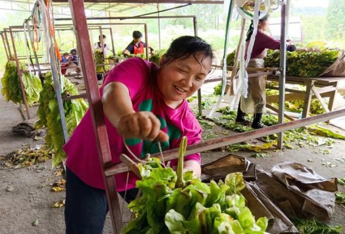 大青山昭君和亲中支香烟价格表2024 大青山昭君和亲中支多少钱一盒2024？