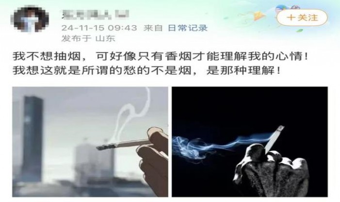 兰州飞天明珠香烟价格表2024 兰州飞天明珠价格表一览 