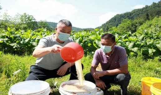 终于发现！进口烟哪有卖“志士仁人”