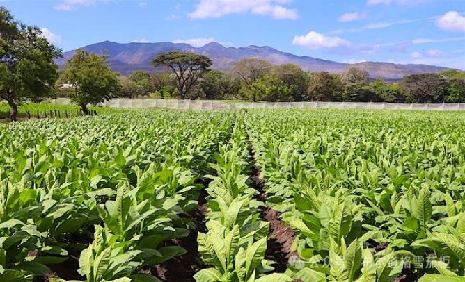 万宝路(硬红精选100S)一手厂家，万宝路(硬红精选100S)价格查询