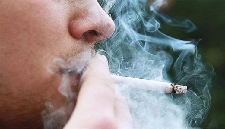 揭秘！高希霸世纪四纸盒25支装云霄烟批发渠道的详细解析