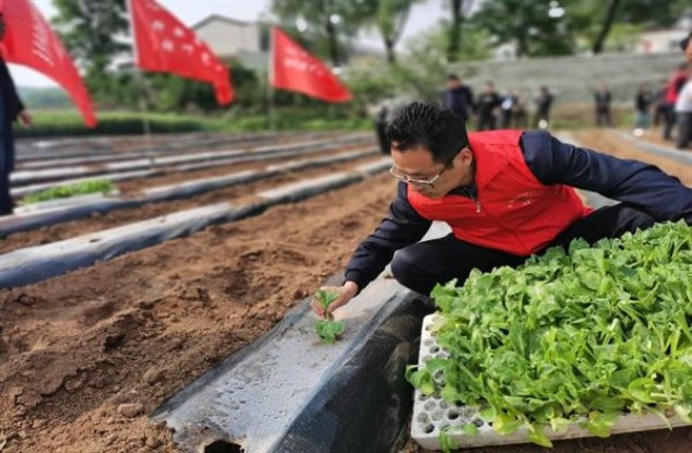 黄鹤楼(为了谁·长彩软短)一手渠道，黄鹤楼(为了谁·长彩软短)价格表和图片
