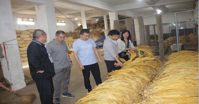 深入解析！黄鹤楼硬天骄圣地细支云霄烟选购全攻略,品牌甄选与安全购买指南