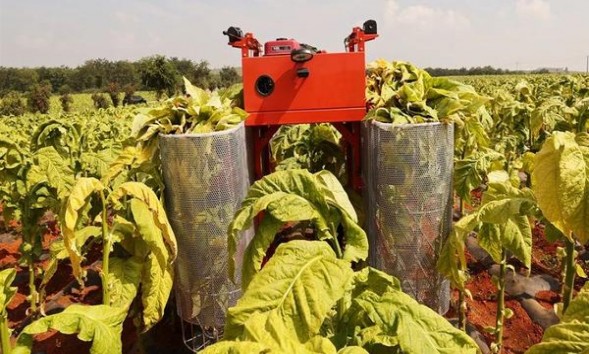 威斯(ICE FRESH 1mg日版)价钱批发 威斯(ICE FRESH 1mg日版)香烟价格表2025 