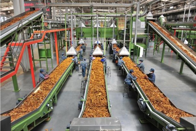 终于发现！福建云霄烟与真烟区别“自求多福”