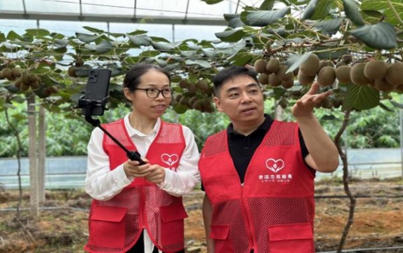 中华硬出口洪都拉斯版价钱批发 中华硬出口洪都拉斯版批发价格是多少？