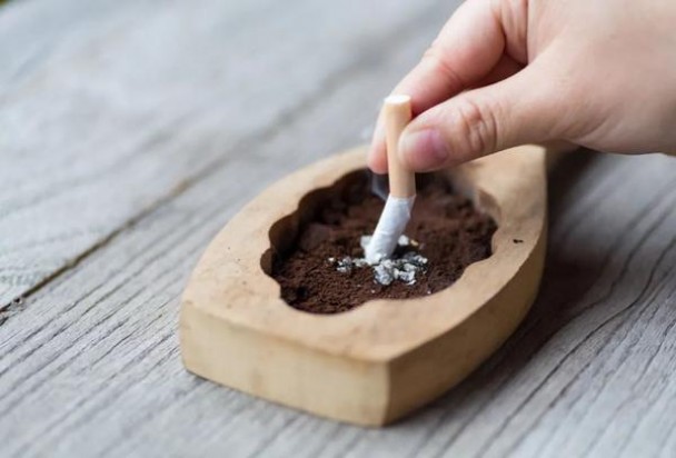 黄金叶(添运.专供出口)香烟价格 黄金叶(添运.专供出口)多少钱一盒2025？