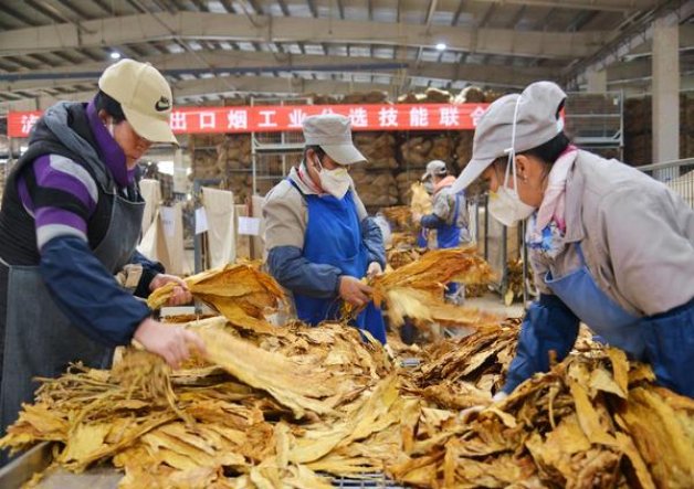 天子传奇批发价格是多少？天子传奇价钱批发 