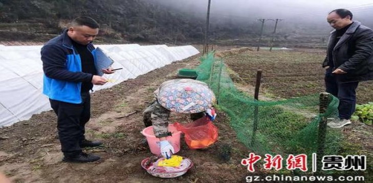 黄鹤楼金山银谷香烟价格表2024 黄鹤楼金山银谷什么价格？